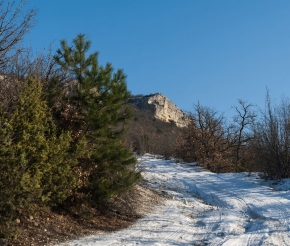 фото: Александр Юродков