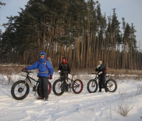 В пути