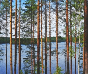 Автор: LUM3N. Источник: pixabay.com
