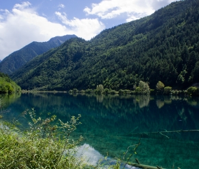 Автор: oarranzli. Источник: visualhunt