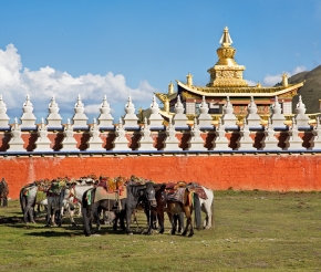 Автор: utpala ॐ, источник: visualhunt