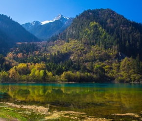 Автор: jmhullot. Источник: visualhunt.com