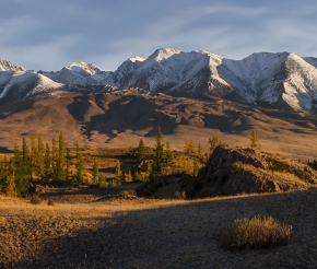 Курайская степь