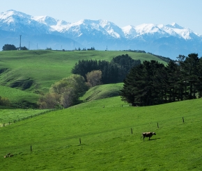 Кайкора