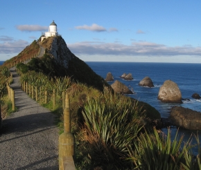 фото: Seabird NZ