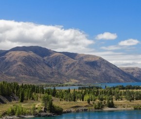 Твайзел, автор фото: SebsEye