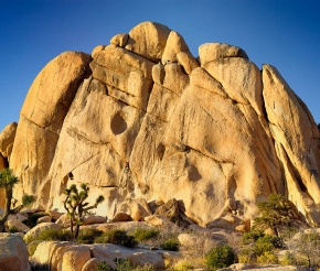 Lost Palm Oasis