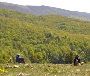 На пути к Ай-Петри, фото: Виктория Васильченко