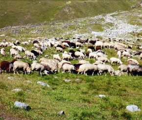 В пути...