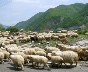 Фотографии из нашего путешествия