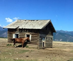 лето, 2015