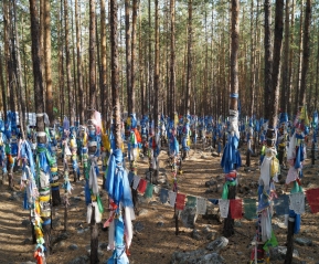 лето, 2015
