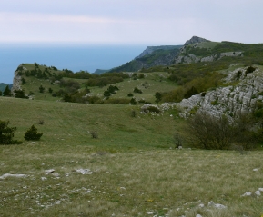 Ай-Петринская яйла