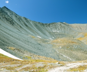 Удивительные краски Курумников