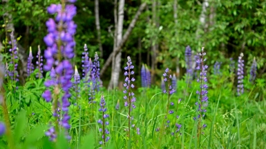 Фото: Tatiana Tochilova on unsplash