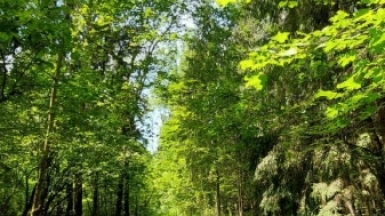 Фото наших Странников