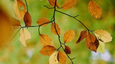 Фото: 
Sarah Hongerloot, Unsplash.com