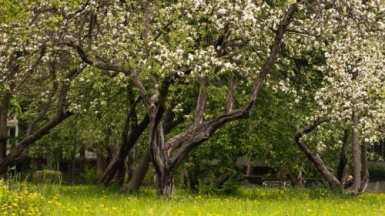 Фото: Tessa Terrus on Unsplash