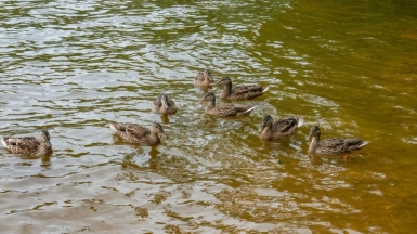 Фото наших Странников