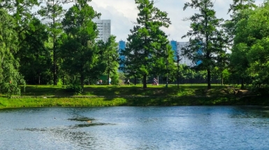 Фото: Nikolai Kolosov on Unsplash