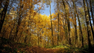 Фото: Varfolomeev, Visualhunt.com