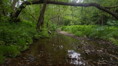 Фото гида Михаила Верёвченко