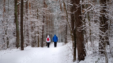 Фото_ Michal Robak on unsplash