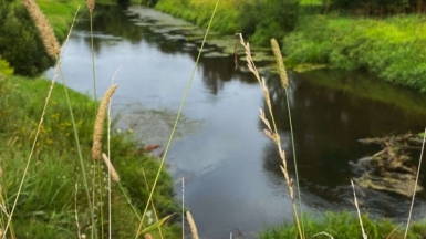 Фото гида Дианы Терещенковой