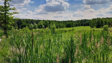 Фото нашего гида Александра Чудновского