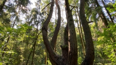 Фото гида Дианы Терещенковой