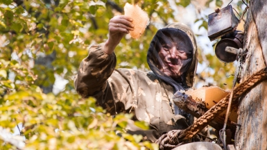 Фото с сайта ФГБУ «Государственный заповедник «Шульган-Таш»