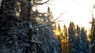 Фото Denis Vahrushev on VisualHunt