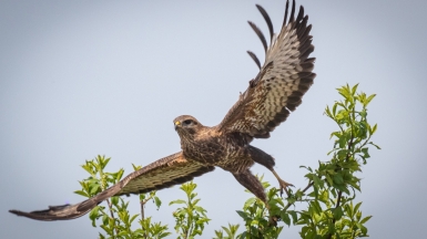 Фото гида Михаила Верёвченко