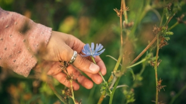 Фото: Conscious Design on unsplash