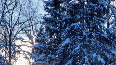 Фото наших Странников