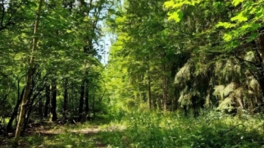 Фото наших Странников