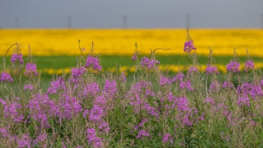 Фото гида Михаила Верёвченко