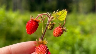 Фото наших Странников