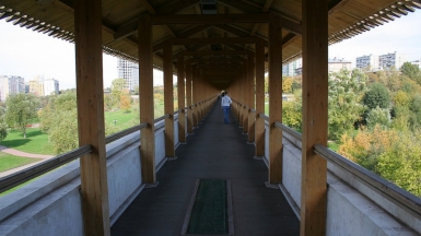 Фото: A.Savin. Лицензия CC BY-SA 3.0, commons.wikimedia.org