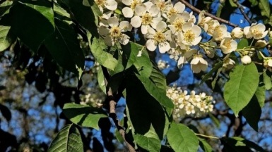 Фото наших Странников