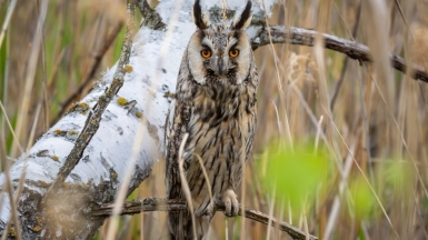 Фото гида Михаила Верёвченко