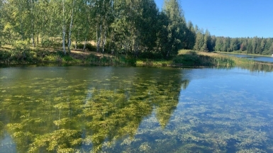 Фото наших Странников