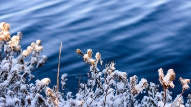 Фото Gatis Gribusts, visualhunt.com