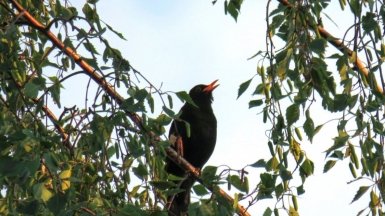 Фото Anastasiya Romanova для Unsplash