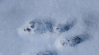 Фото гида Галины Чудновской