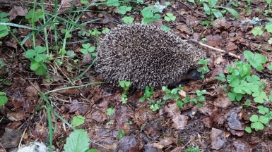 Фото наших Странников