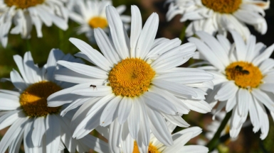 Фото: EVGEN SLAVIN on Unsplash