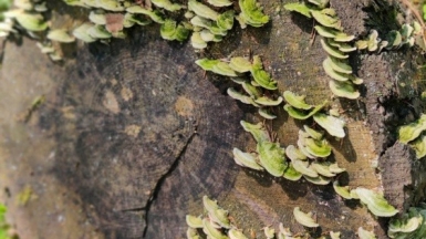 Фото наших Странников