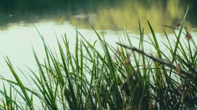 Фото: Аrtem Balashevsky on unsplash