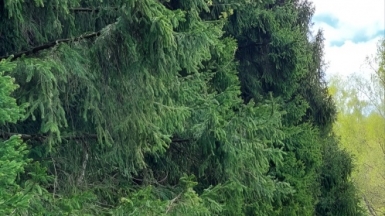 Фото наших Странников